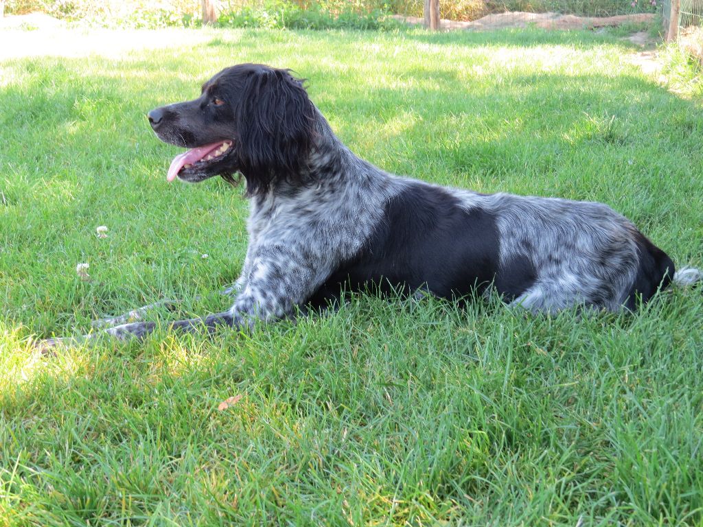 Maddy des sources de rouadan