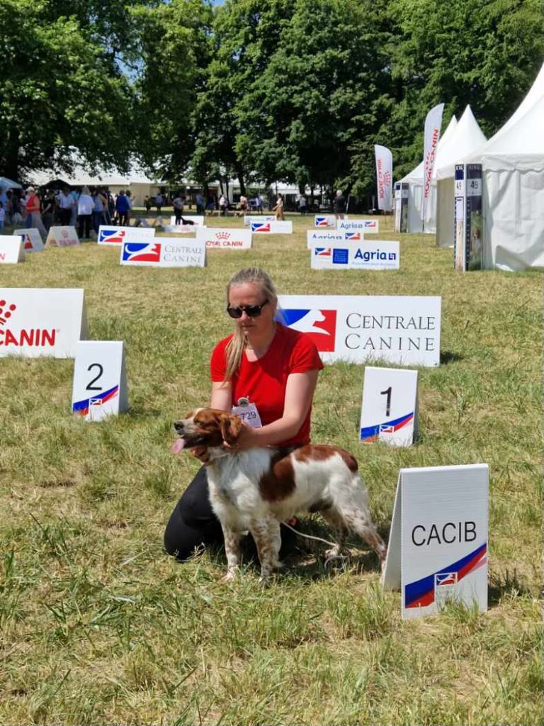 des sources de rouadan - Radja de Trémouard