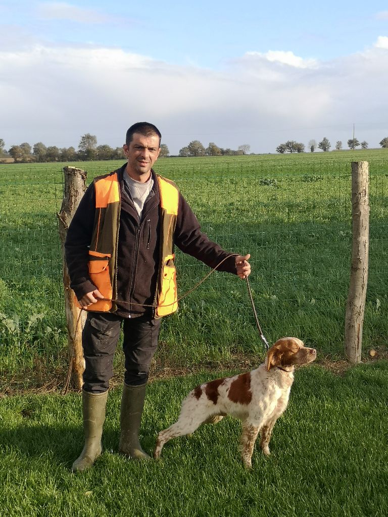 des sources de rouadan - MAJOR des Doucs de Pillot